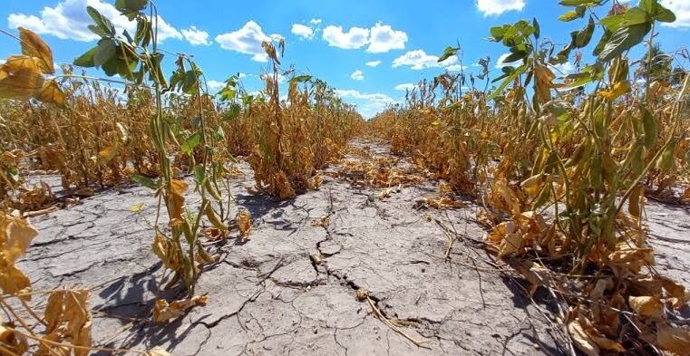 ¿Habrá La Niña este año en Perú y cómo afectaría a las regiones?