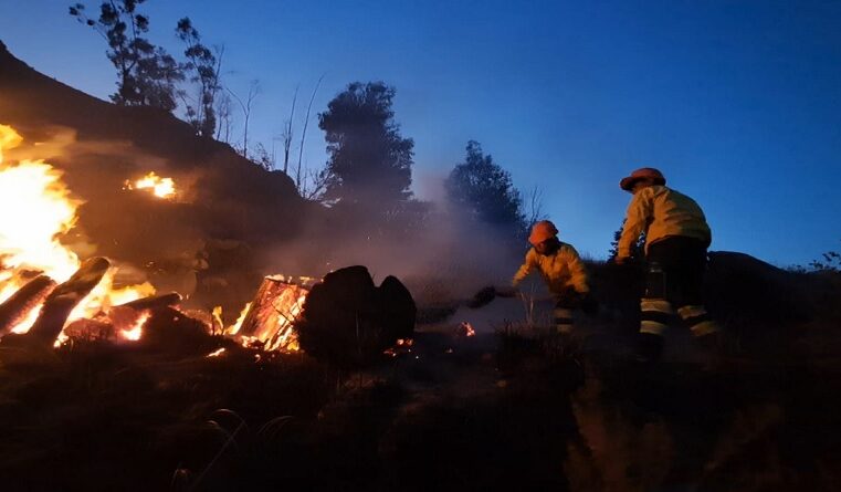 Incendio forestal arrasa con 5 hectáreas de café y árboles de pino