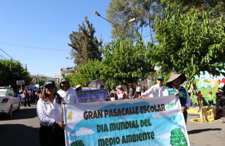 SE PONDRÁ EN MARCHA PROGRAMA QUE IDENTIFICA ESPECIES DE ÁRBOLES DE AREQUIPA