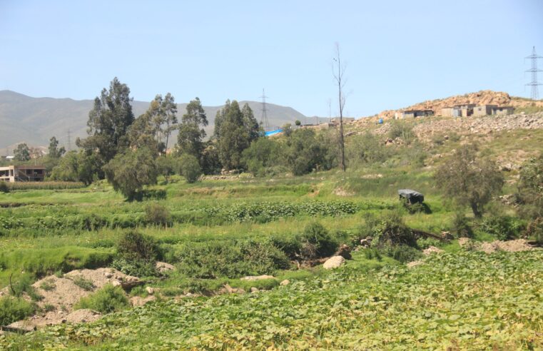 Mejorarán servicios de riego en Yarabamba y San Juan de Siguas 