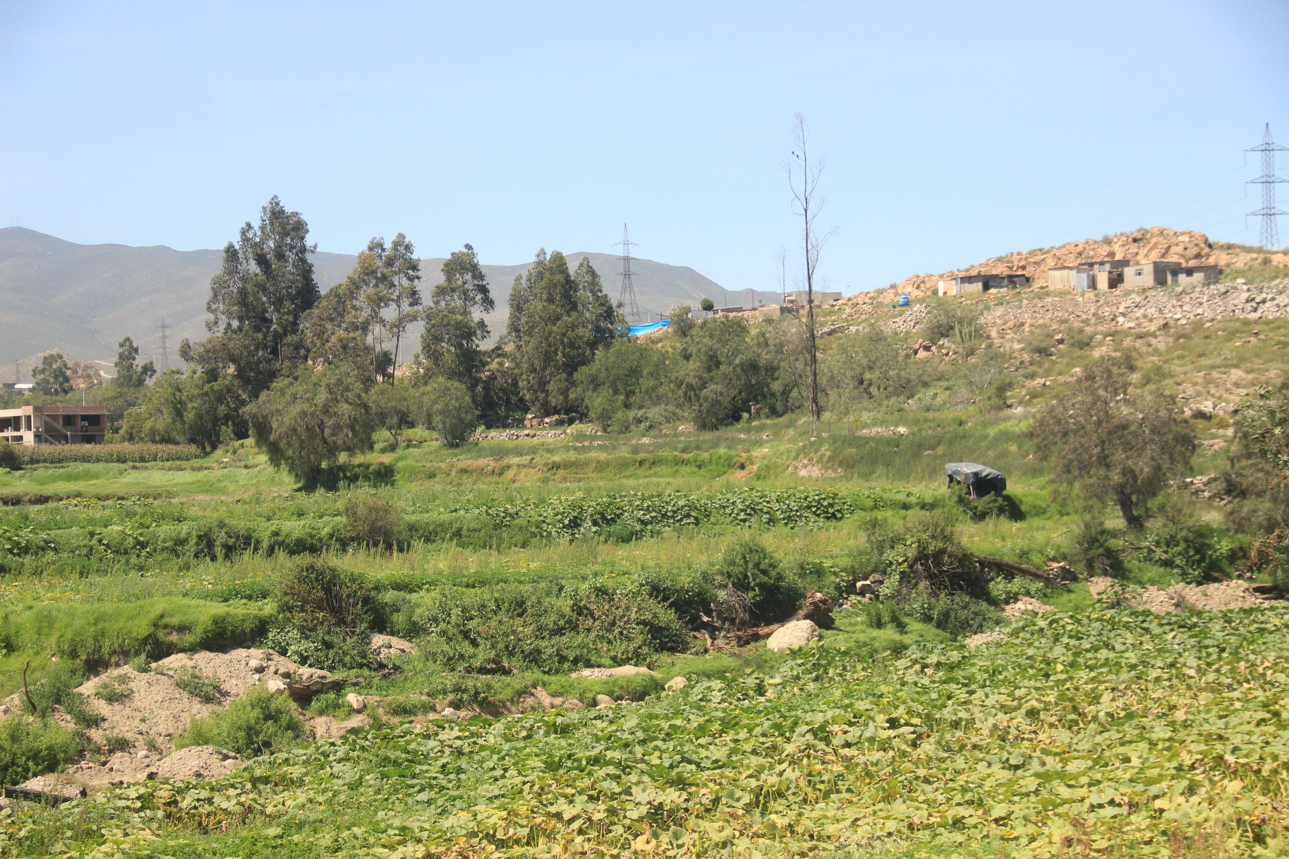 Mejorarán servicios de riego en Yarabamba y San Juan de Siguas 