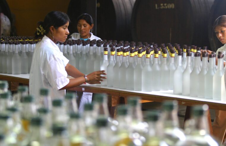 Productores arequipeños podrán acceder a capacitaciones gratuitas en programa «Pisco para el Mundo»