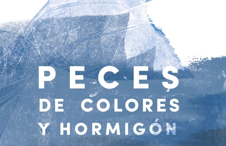 Peces de colores y hormigón