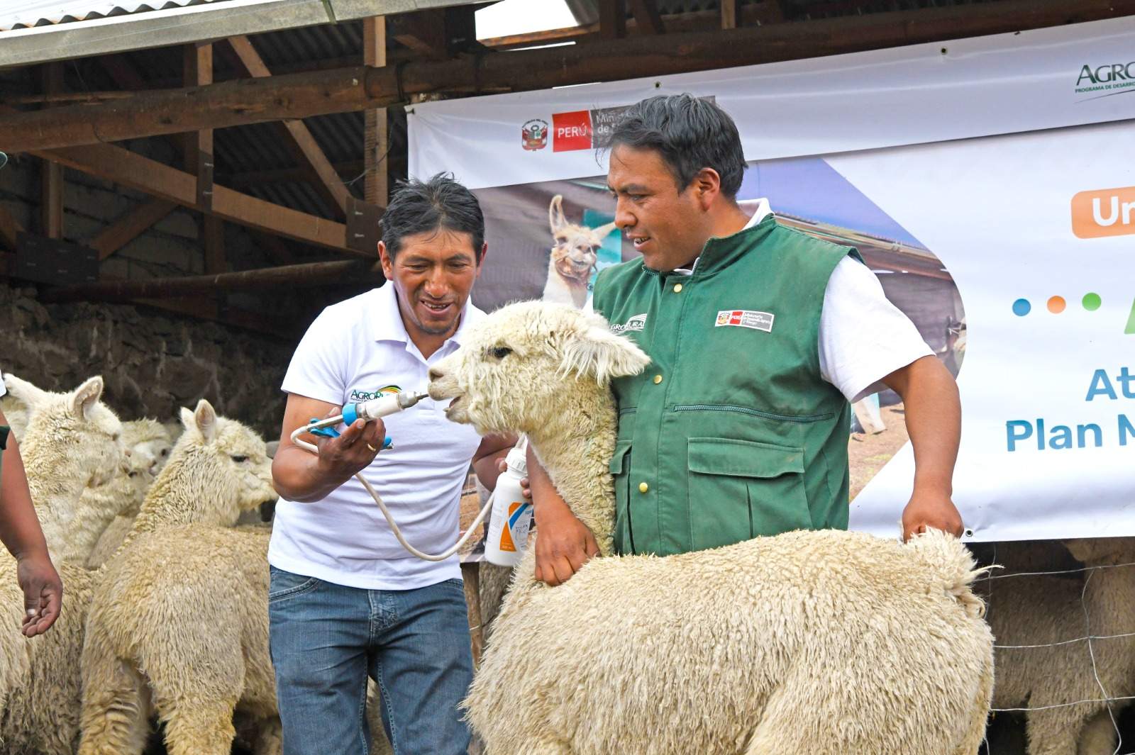 Fortalece actividad agropecuaria de 12 000 pequeños productores