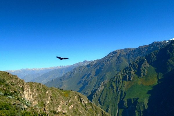 Anuncian 7 nuevas rutas en el valle de Colca