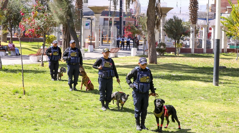 Canes rescatados conforman la nueva brigada canina de Municipalidad de Arequipa