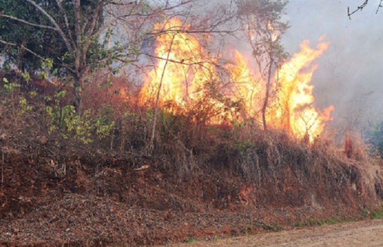 Incendio forestal arrasa con pastizales de ichu en Yanacancha