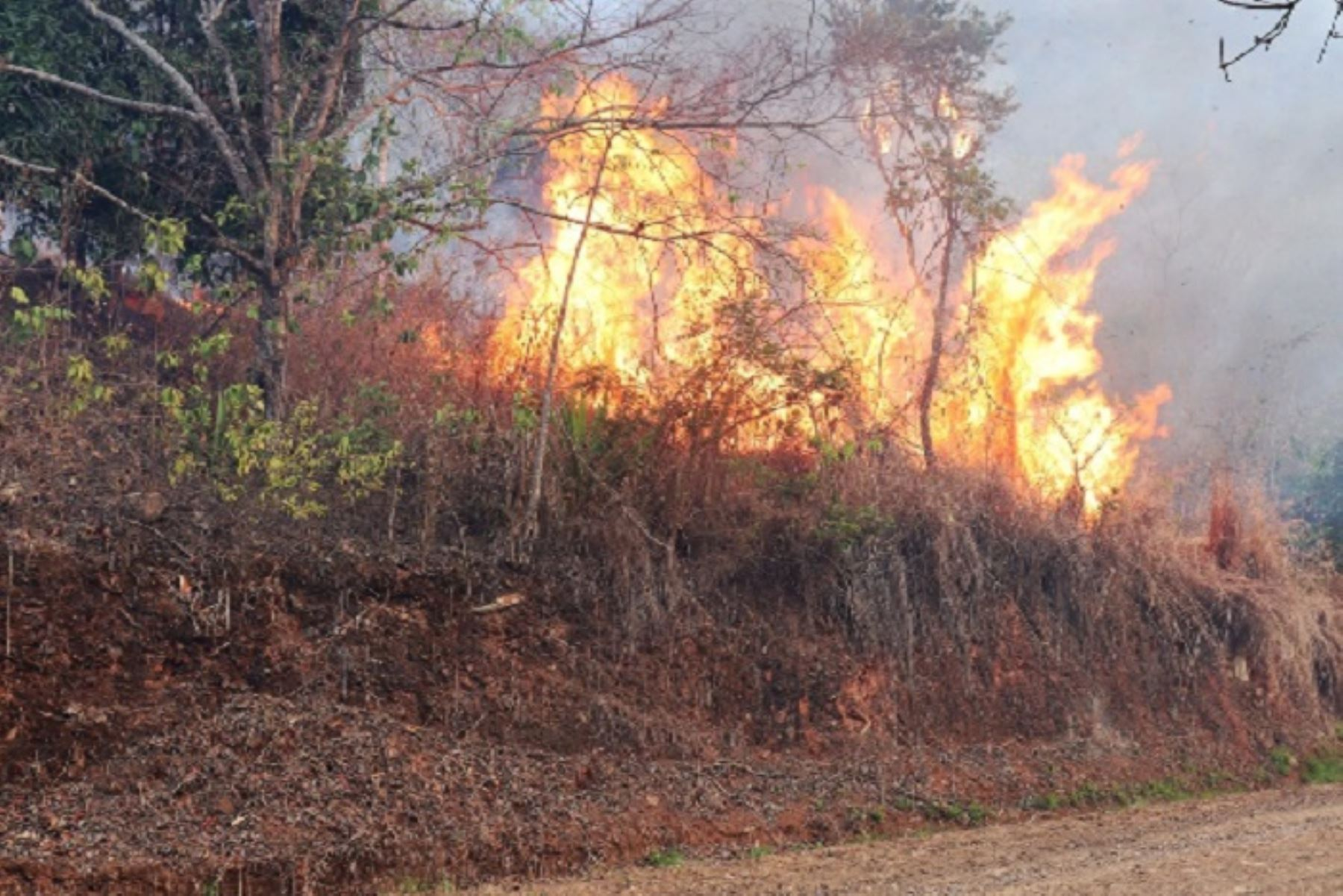 Incendio forestal arrasa con pastizales de ichu en Yanacancha