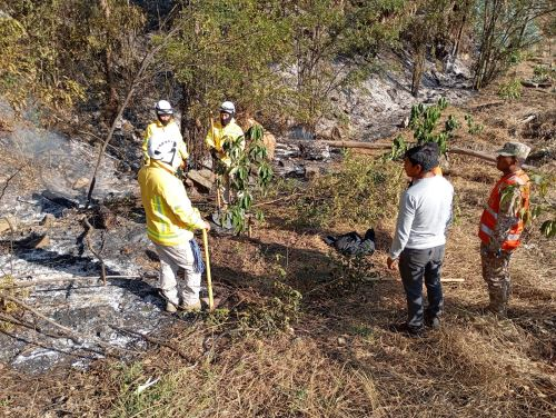 Incendio arrasa más de 20 hectáreas de cultivo en distrito de Curgos