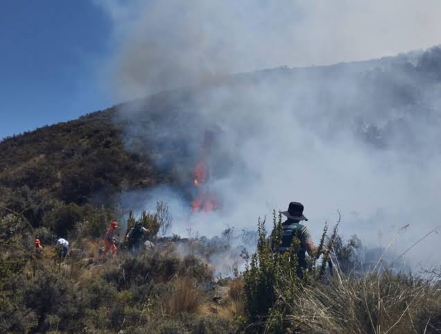 Extinguen 9 incendios forestales en Áncash, Ayacucho, Cusco y Amazonas