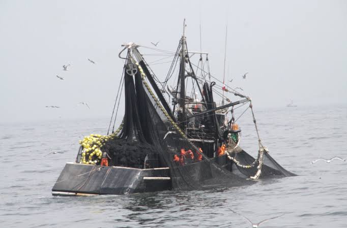 Grandes embarcaciones pescan sin preservar la vida en el mar