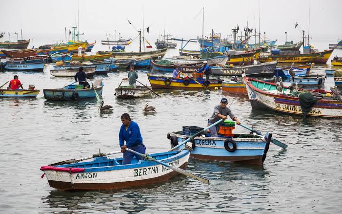 Pescadores artesanales no concuerdan con ministro Sergio González