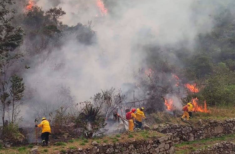 Bomberos logran controlar incendio forestal reportado en  Machu Picchu