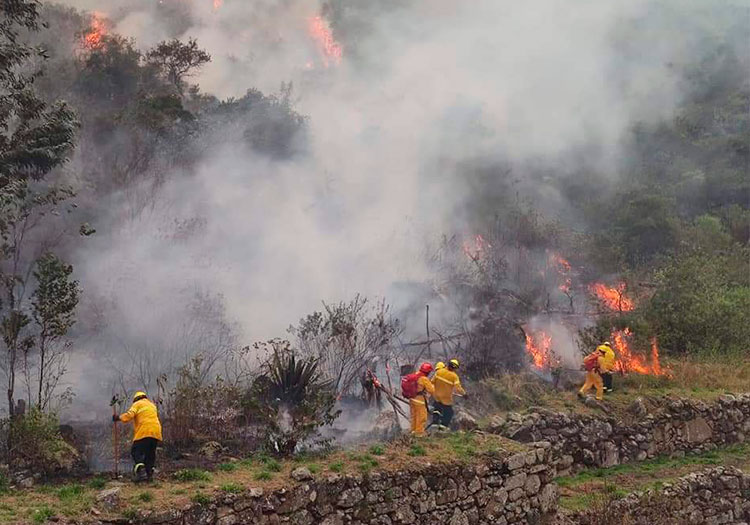 Bomberos logran controlar incendio forestal reportado en  Machu Picchu