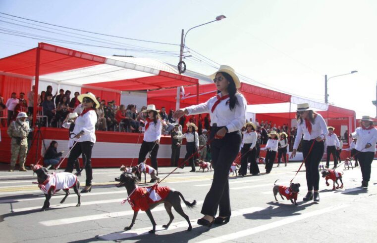 Desborde de gallardía y patriotismo en la Gran Parada Cívica-Militar