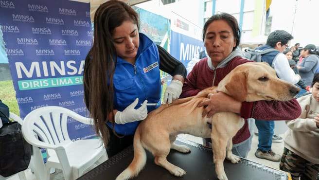 Más de 3 millones de canes vacunados en campaña antirrábica