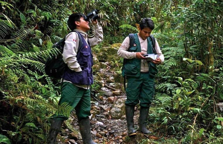Turismo en áreas protegidas contribuye a la conservación