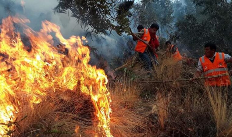 Reportan primer fallecido por incendios forestales