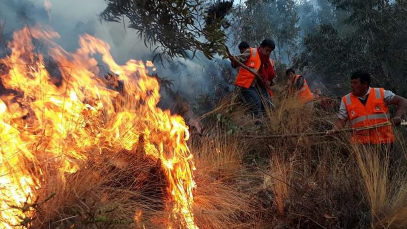 Reportan primer fallecido por incendios forestales