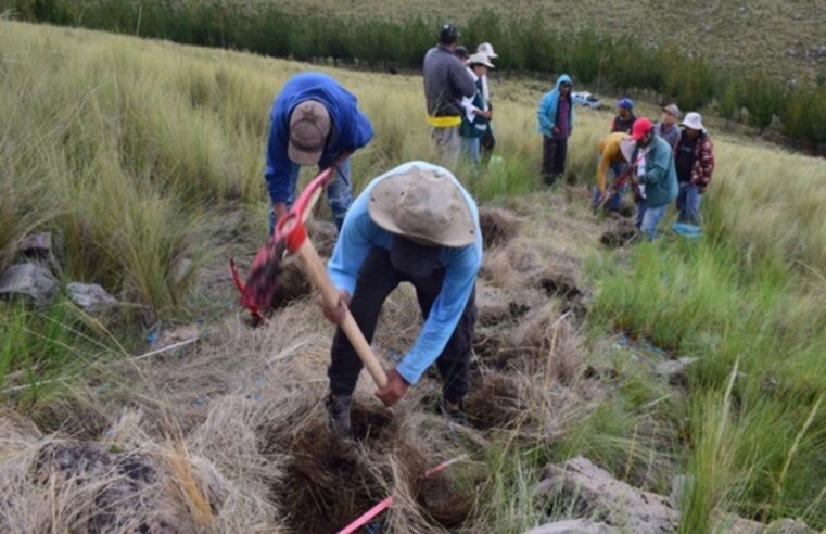 Serfor aplica medidas preventivas contra incendios forestales en regiones