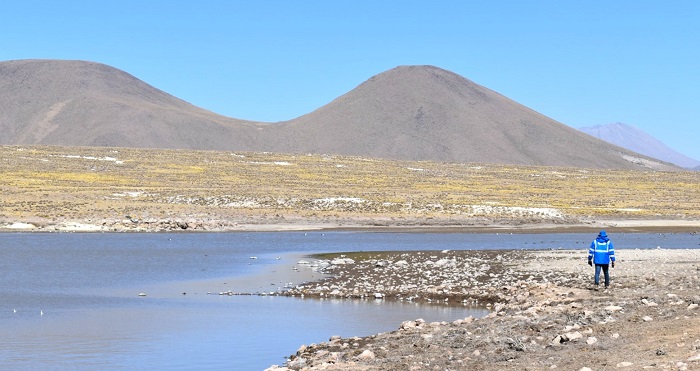 Sunass monitoreará plan de contingencia  de Sedapar para potabilización del agua