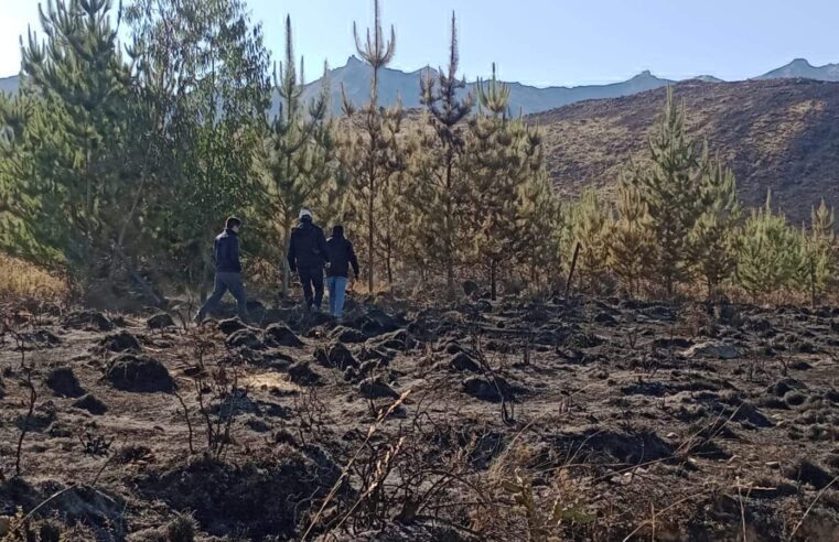 Exhortan evitar malas prácticas para evitar incendios forestales