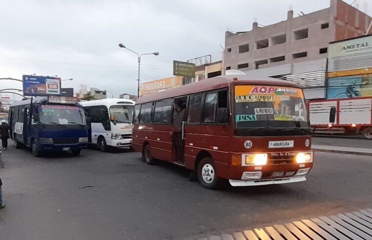 “Es inviable dar permiso temporal a los transportistas informales”