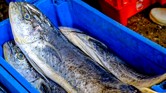 Pescadores de la macrosur suspenden paro indefinido