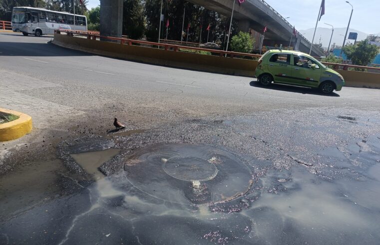 FOTO DE HOY LUNES 12 DE AGOSTO