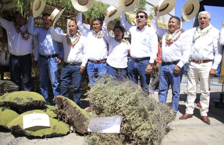 Diez distritos se unen para Entrada de Ccapo del sur de Arequipa 