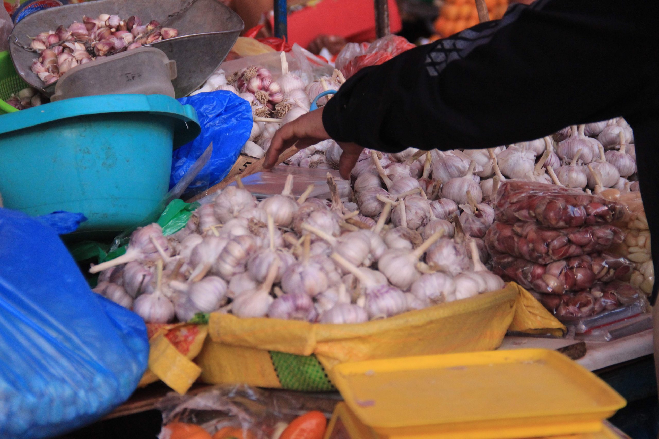 Precio del kilo de ajo en los mercados se mantiene alto