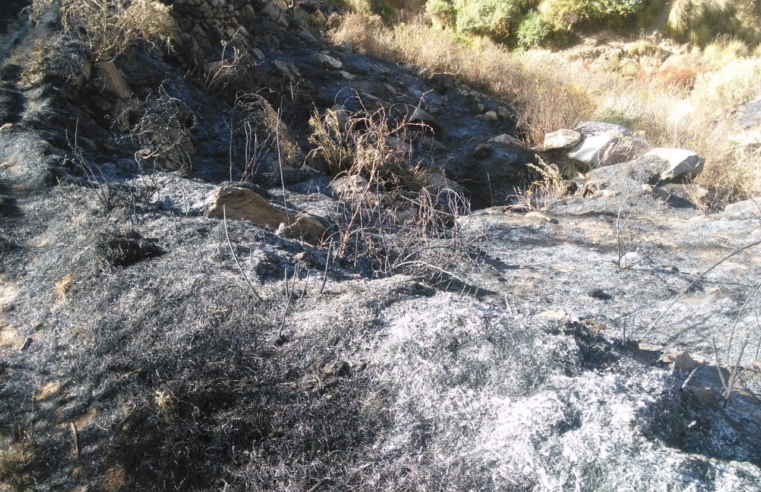 Incendio forestal en la provincia de Condesuyos