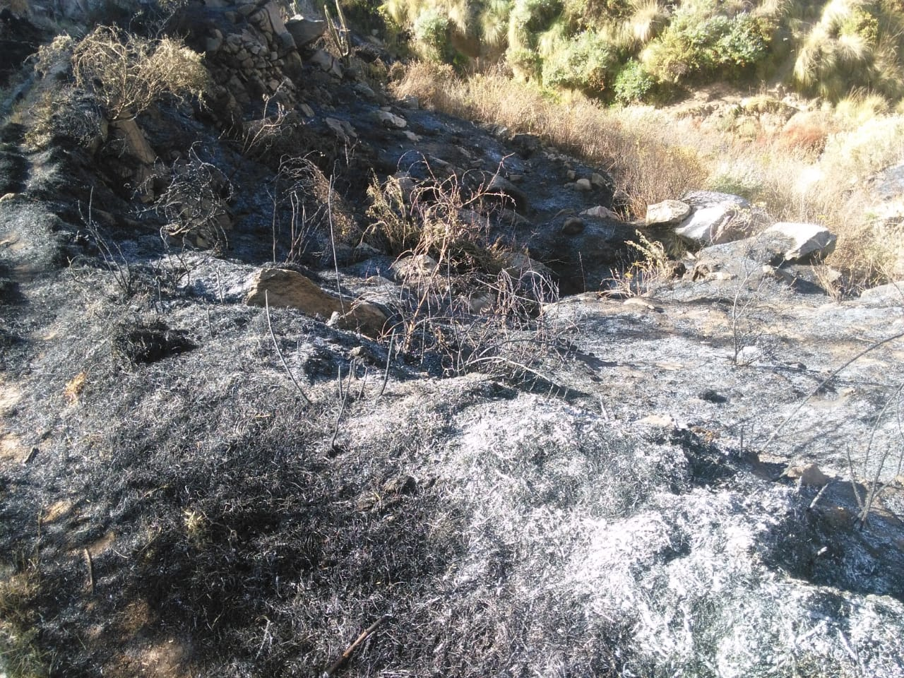 Incendio forestal en la provincia de Condesuyos