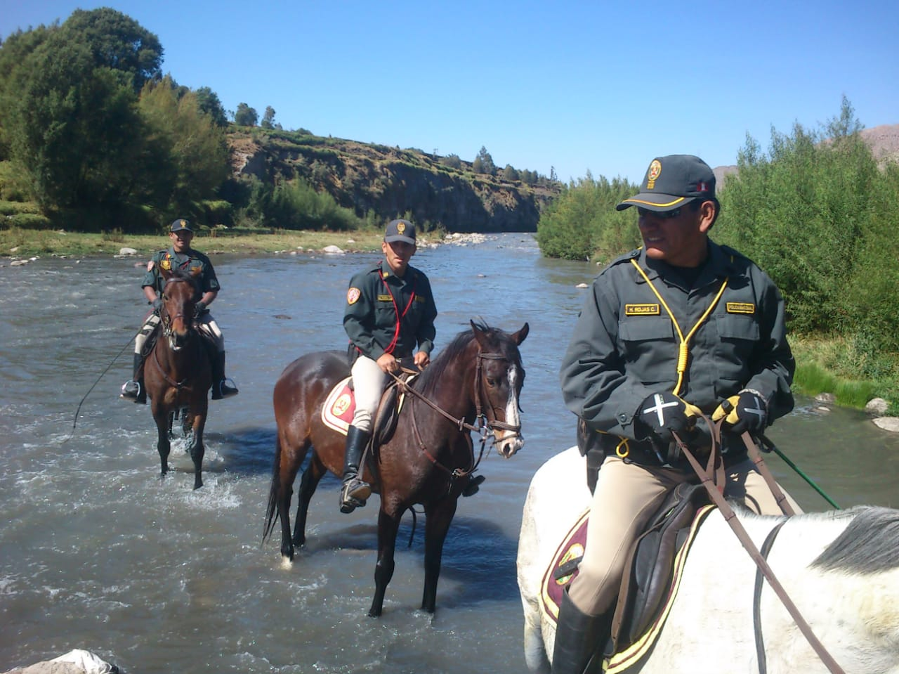 En Arequipa, 34 caballos policía luchan contra la delincuencia