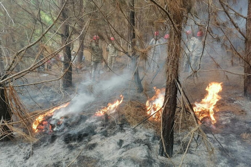 Incendio forestal arrasa con bosque y cultivos en Quillabamba