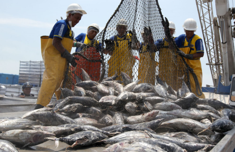 Exportaciones de minería, pesca y agro crecieron en primer semestre