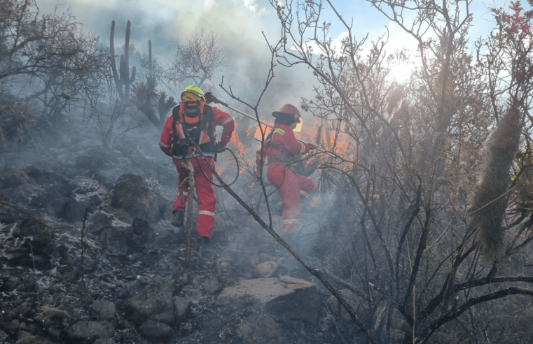 Incendio forestal de grandes proporciones en Pisac