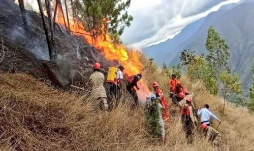 Más de 40 soldados apoyaron para controlar incendio forestal