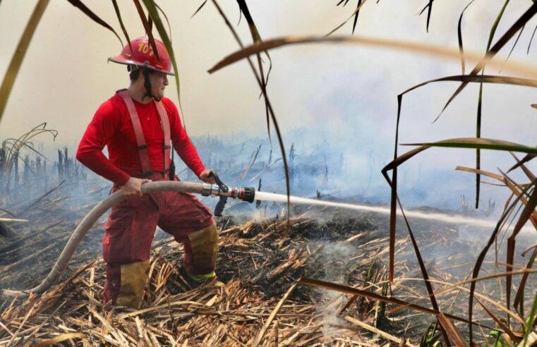 Extinguen incendios forestales en tres distritos: Indeci