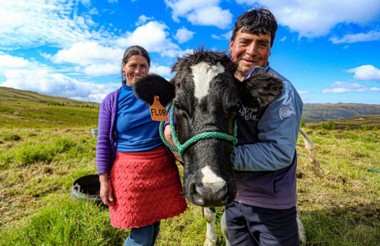 Midagri atenderá a 40 000 pequeños y medianos ganaderos