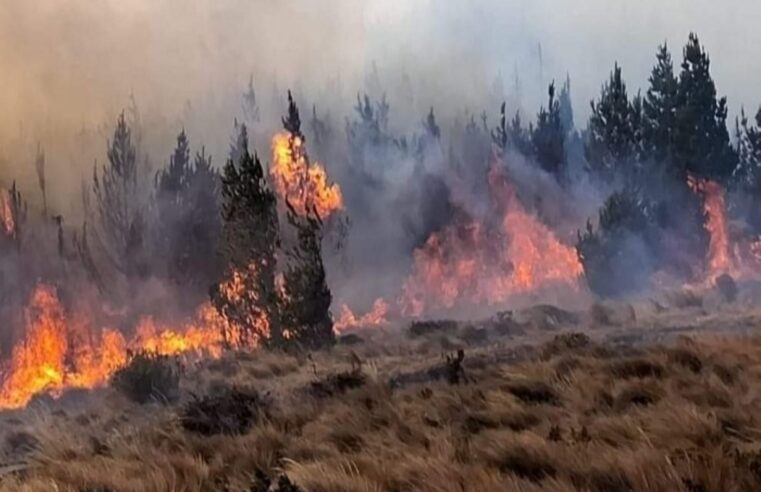 ¡Perú en llamas!: reportan 49 incendios forestales activos