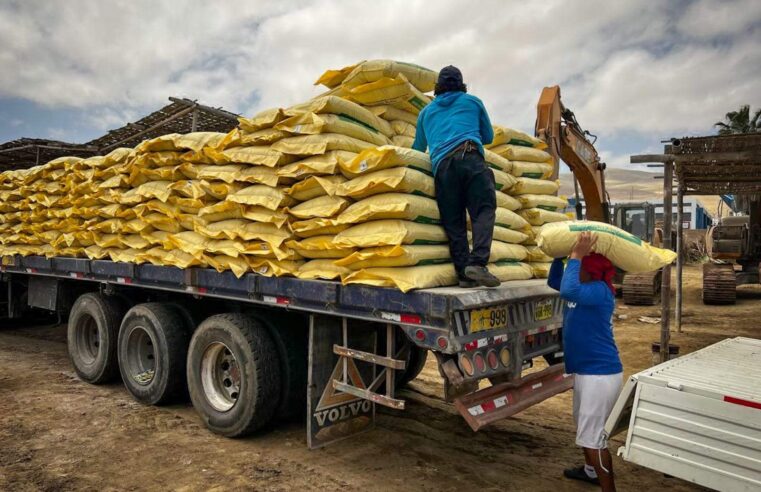 Más de 500 toneladas de guano de islas serán distribuidas en Arequipa