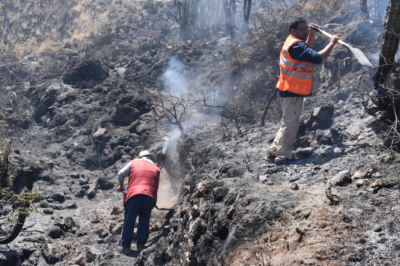 Incendio forestal en distrito de Chachas en Castilla afectó 19 hectáreas