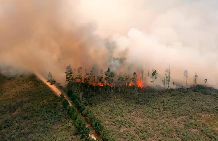 Gobierno declara en emergencia Amazonas, San Martín y Ucayali