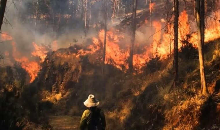 Regiones insisten en declaratoria de emergencia por incendios