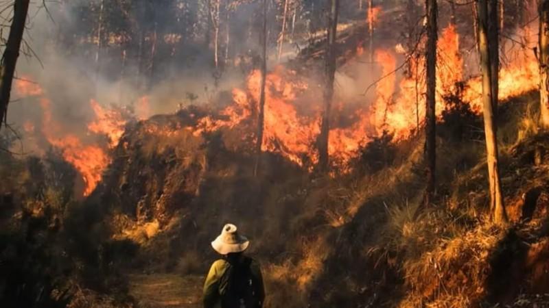 Regiones insisten en declaratoria de emergencia por incendios