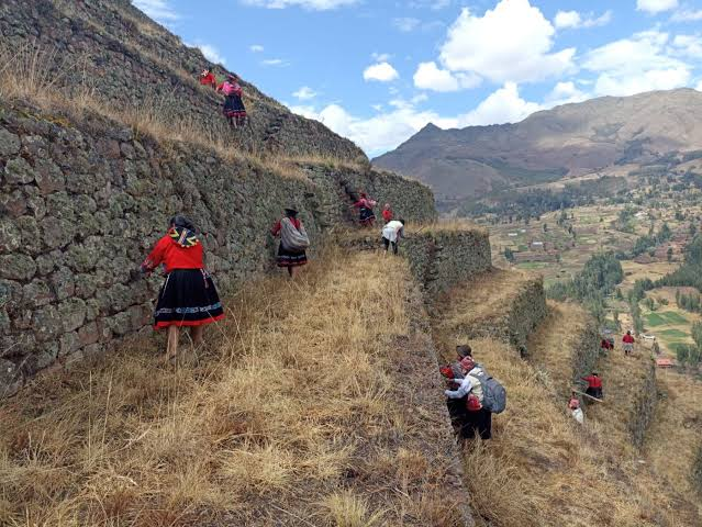 Realizaron mantenimiento en andenes incas del parque arqueológico de Písac