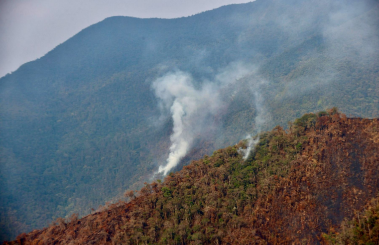 Investigan a presuntos responsables de ocasionar incendio forestal