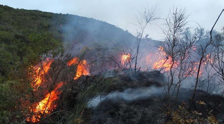 Mujer de 80 años es segunda víctima de incendios forestales