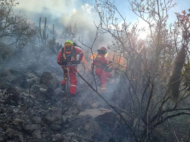 Incendio forestal deja dos bomberos heridos cuando combatían fuego en Písac